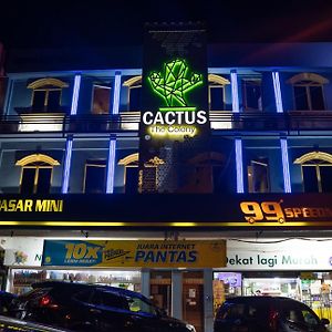 The Colony By Cactus Hotel Dedap